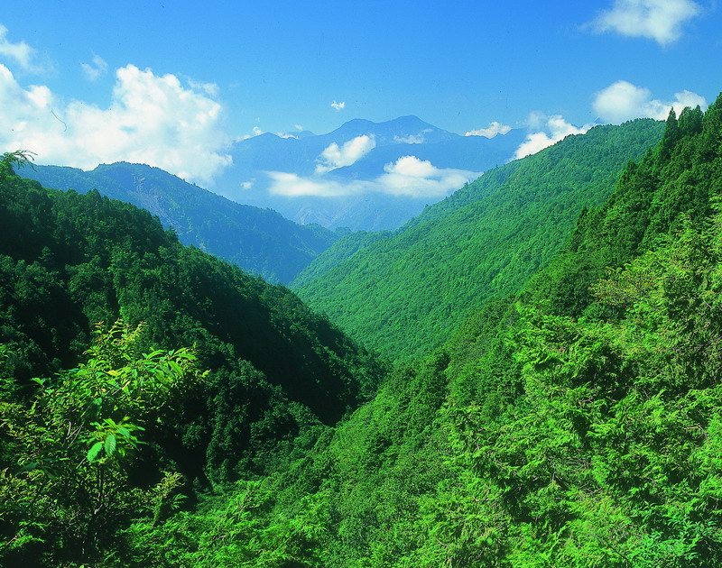 太平山國家森林遊樂區景觀