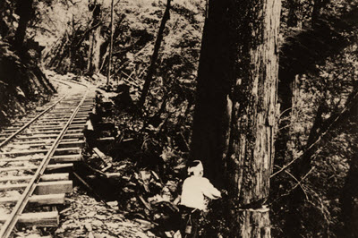 太平山森林遊樂區展映1958年代珍貴紀錄片