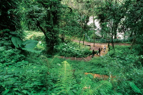 Jioujhihze Nature Trail
