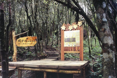 The entrance ofTaiwan Hemlock Forest Nature Trail