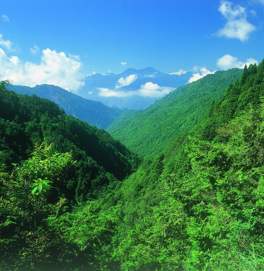 Taipingshan National Forest Recreation Area