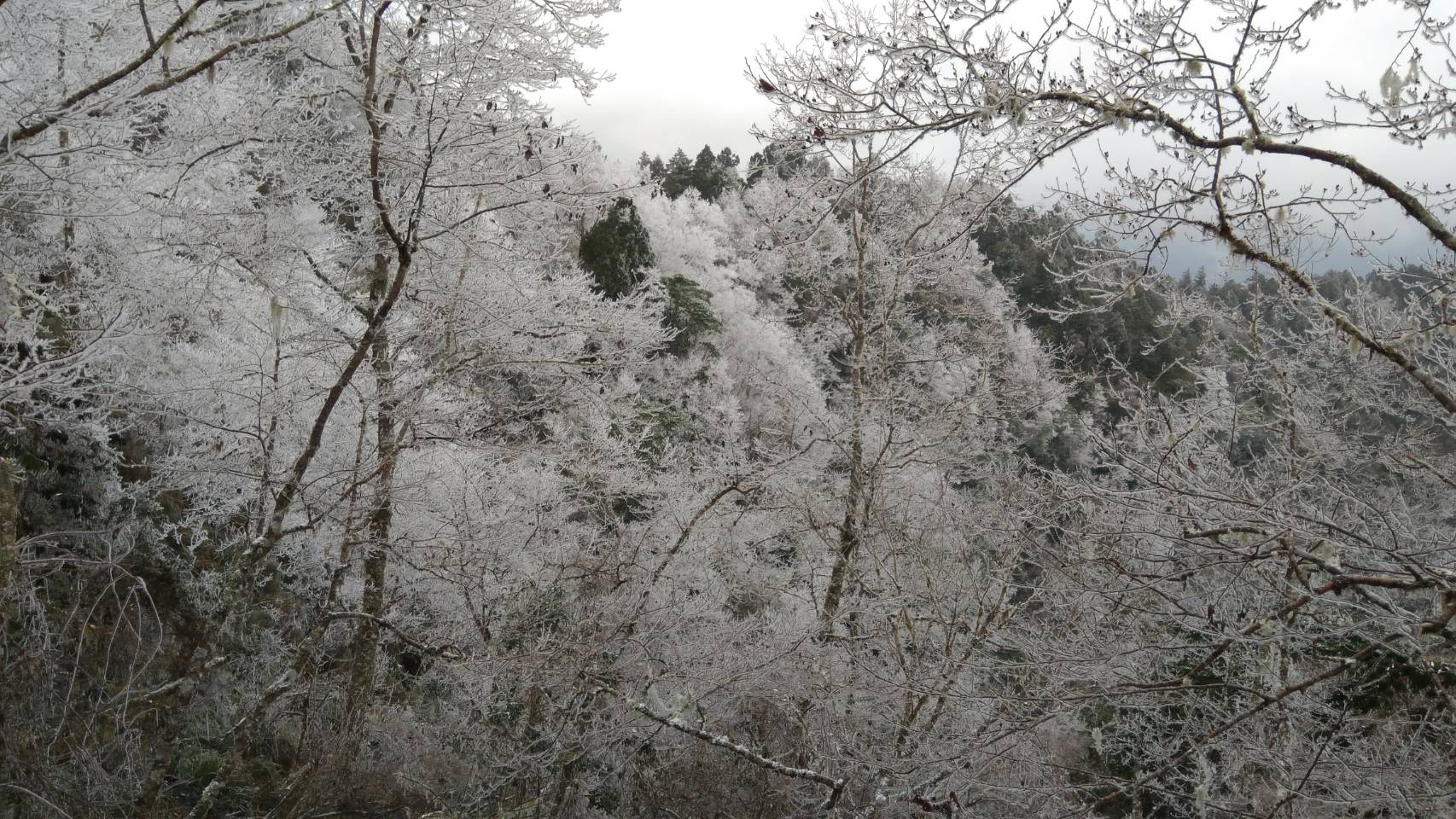 20180112-6 下雪景色