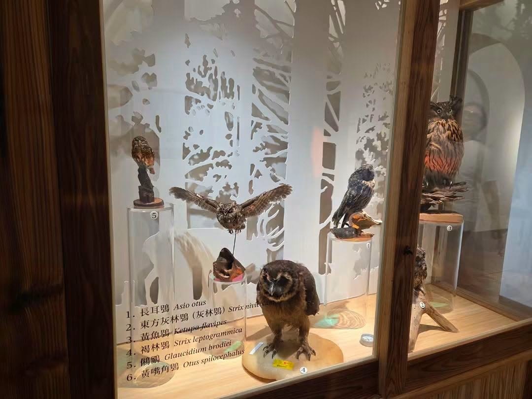 在中間 奇遇自然