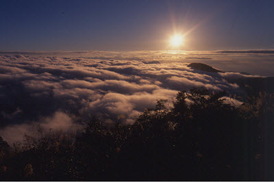 太平山日出雲海