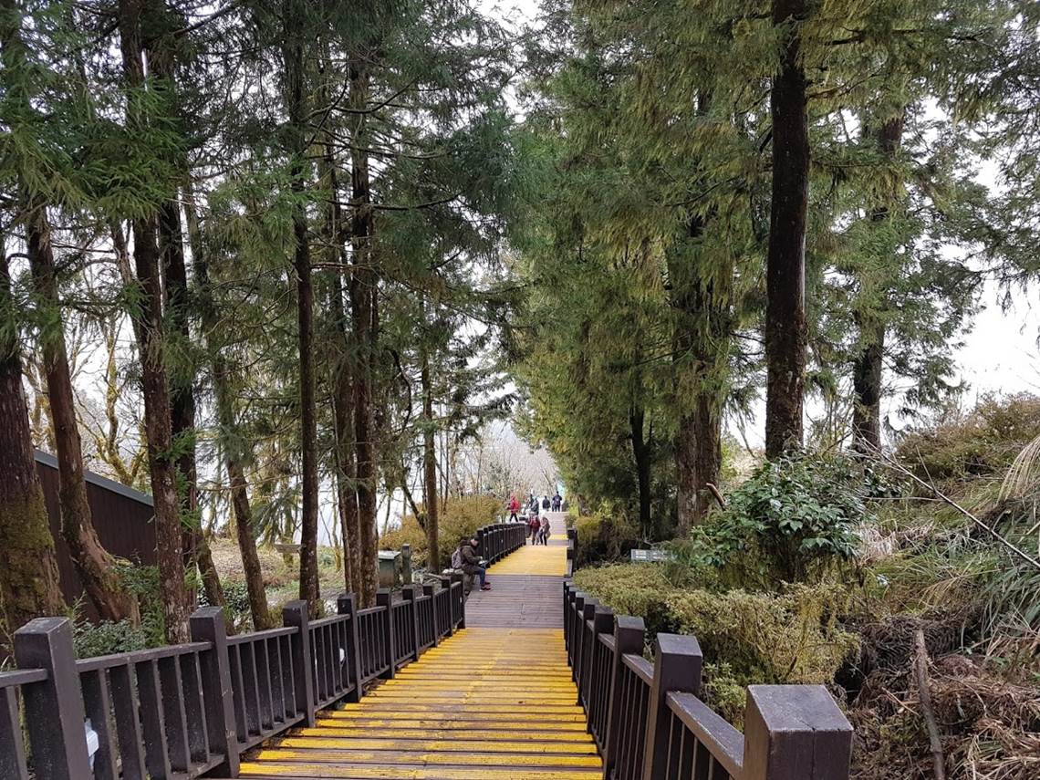 太平山國家森林遊樂區中央階梯預定於5月14日至18日進行樹木養護作業，請遊客注意安全