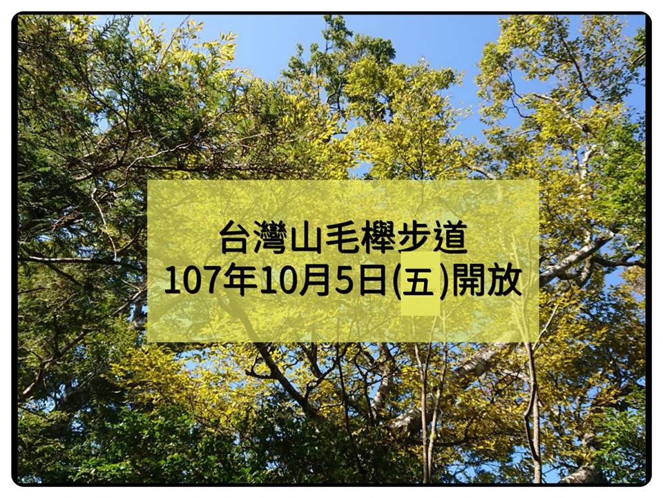 台灣山毛櫸步道自107年10月5日開放
