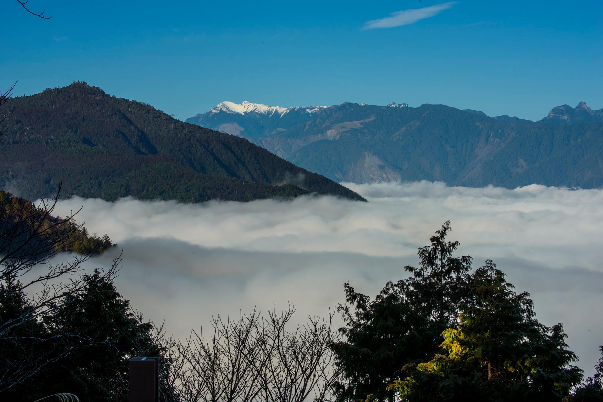 春遊太平山 坐看雲起時