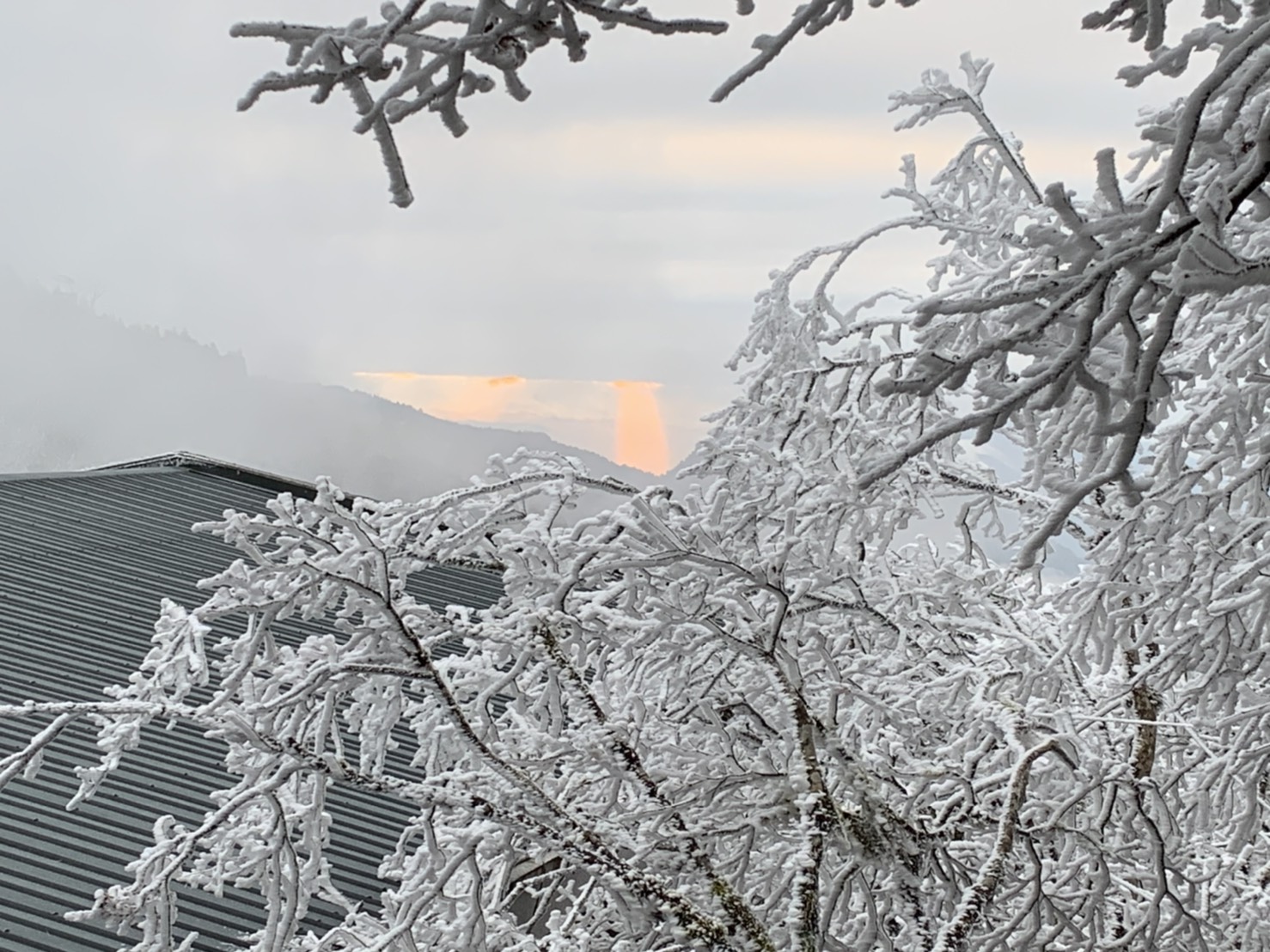 太平山國家森林遊樂區2021年第二波冬季雪期 預警性機動管制措施