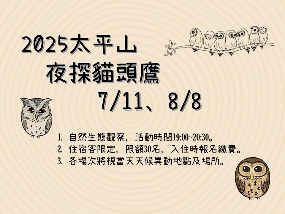 2025 太平山「夜探貓頭鷹」