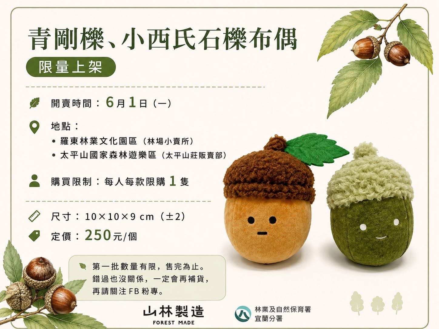 青剛櫟、小西氏石櫟 布偶 限量/購 上架